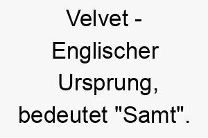 velvet englischer ursprung bedeutet samt 10027