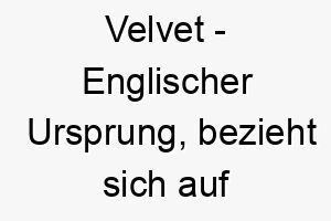 velvet englischer ursprung bezieht sich auf den samtstoff kann auch als weich glatt interpretiert werden 10088 1