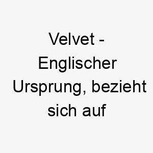 velvet englischer ursprung bezieht sich auf den samtstoff kann auch als weich glatt interpretiert werden 10088 1