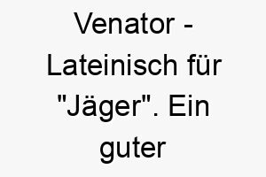 venator lateinisch fuer jaeger ein guter name fuer einen hund mit starkem jagdinstinkt 27195