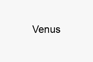 venus 10014 1