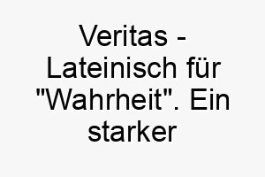 veritas lateinisch fuer wahrheit ein starker name fuer einen ehrlichen loyalen hund 27242