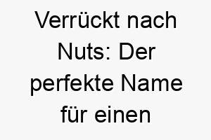 verrueckt nach nuts der perfekte name fuer einen pfiffigen quirligen vierbeiner 23709