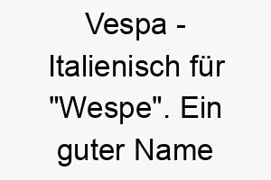 vespa italienisch fuer wespe ein guter name fuer einen kleinen schnellen hund 27199