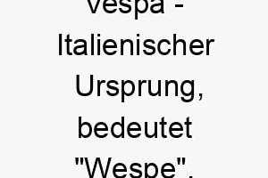 vespa italienischer ursprung bedeutet wespe 10031