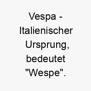 vespa italienischer ursprung bedeutet wespe 10031