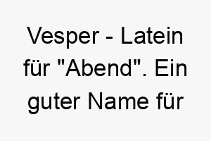 vesper latein fuer abend ein guter name fuer einen ruhigen nachdenklichen hund oder einen hund mit dunklem fell 27185