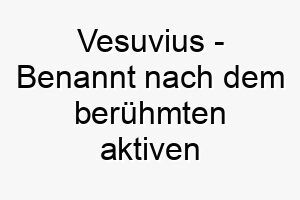 vesuvius benannt nach dem beruehmten aktiven vulkan in italien ein guter name fuer einen energischen explosiven hund 27113