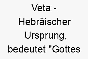 veta hebraeischer ursprung bedeutet gottes geschenk 10150