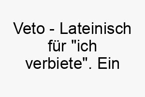 veto lateinisch fuer ich verbiete ein starker name fuer einen dominanten beherrschenden hund 27234