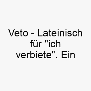 veto lateinisch fuer ich verbiete ein starker name fuer einen dominanten beherrschenden hund 27234