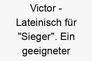 victor lateinisch fuer sieger ein geeigneter name fuer einen stolzen erfolgreichen hund 27227