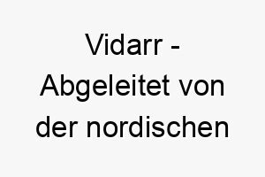 vidarr abgeleitet von der nordischen mythologie bedeutet waldkrieger ein starker name fuer einen mutigen abenteuerlustigen hund 27196