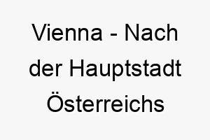 vienna nach der hauptstadt oesterreichs benannt ein ausgezeichneter name fuer einen eleganten hochgeborenen hund 27111