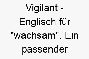 vigilant englisch fuer wachsam ein passender name fuer einen wachsamen aufmerksamen hund 27224