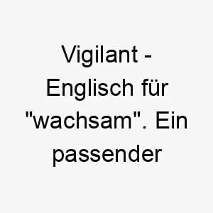 vigilant englisch fuer wachsam ein passender name fuer einen wachsamen aufmerksamen hund 27224