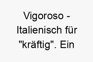 vigoroso italienisch fuer kraeftig ein grossartiger name fuer einen starken gesunden hund 27202