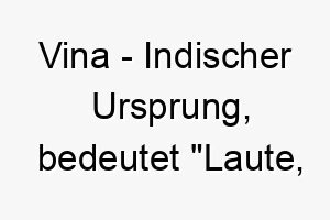 vina indischer ursprung bedeutet laute musikinstrument 10057