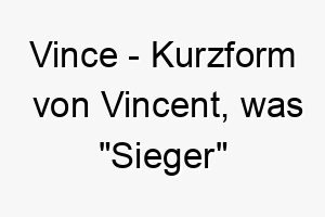 vince kurzform von vincent was sieger bedeutet ein passender name fuer einen stolzen erfolgreichen hund 27239