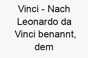 vinci nach leonardo da vinci benannt dem beruehmten italienischen kuenstler und wissenschaftler ein toller name fuer einen intelligenten kreativen hund 27160