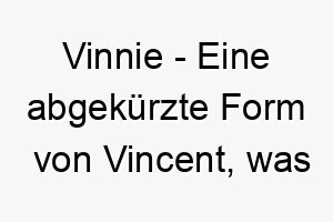 vinnie eine abgekuerzte form von vincent was eroberer bedeutet ein suesser name fuer einen kleinen aber mutigen hund 26906