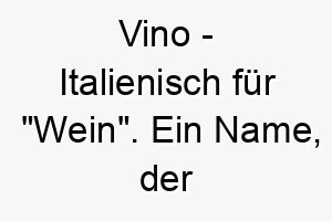 vino italienisch fuer wein ein name der einen suessen ansprechenden hund darstellen koennte 27213