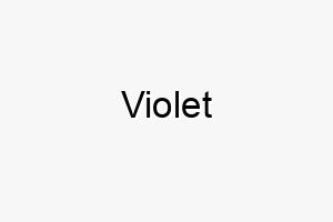 violet 10021