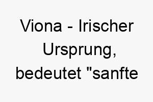 viona irischer ursprung bedeutet sanfte schoenheit 10037