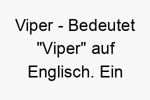 viper bedeutet viper auf englisch ein geeigneter name fuer einen schnellen wendigen hund mit einem scharfen instinkt 26911