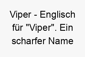 viper englisch fuer viper ein scharfer name fuer einen schnellen wendigen hund 27236