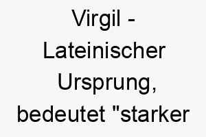 virgil lateinischer ursprung bedeutet starker stab ein passender name fuer einen zuverlaessigen starken hund 27108