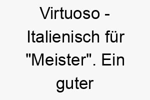 virtuoso italienisch fuer meister ein guter name fuer einen intelligenten geschickten hund 27238