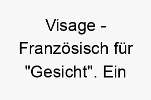 visage franzoesisch fuer gesicht ein passender name fuer einen auffaellig aussehenden hund 27187