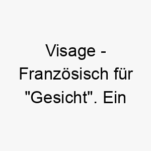 visage franzoesisch fuer gesicht ein passender name fuer einen auffaellig aussehenden hund 27187