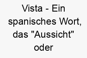 vista ein spanisches wort das aussicht oder blick bedeutet ein guter name fuer einen hund mit scharfen augen oder einer weiten perspektive 27208