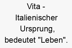 vita italienischer ursprung bedeutet leben 10132