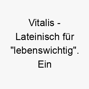 vitalis lateinisch fuer lebenswichtig ein toller name fuer einen lebenswichtigen energiegeladenen hund 27215