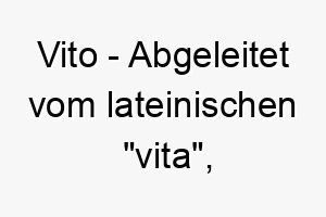 vito abgeleitet vom lateinischen vita bedeutet es leben ein passender name fuer einen hund voller lebensfreude und energie 27104