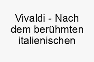 vivaldi nach dem beruehmten italienischen komponisten benannt ein guter name fuer einen hund mit einem melodischen bellen oder einer melodischen persoenlichkeit 27106