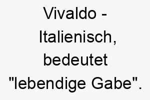 vivaldo italienisch bedeutet lebendige gabe ein toller name fuer einen lebhaften lebensbejahenden hund 27237