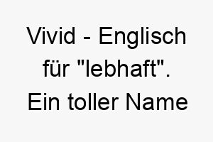 vivid englisch fuer lebhaft ein toller name fuer einen lebhaften leuchtenden hund 27225