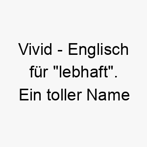 vivid englisch fuer lebhaft ein toller name fuer einen lebhaften leuchtenden hund 27225