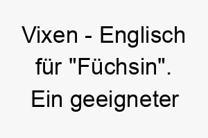 vixen englisch fuer fuechsin ein geeigneter name fuer einen schlauen oder schnellen hund 27188