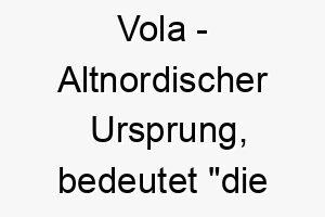 vola altnordischer ursprung bedeutet die fliegende 10146