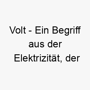 volt ein begriff aus der elektrizitaet der eine einheit der elektrischen spannung darstellt ein guter name fuer einen schnellen energiegeladenen hund 26904