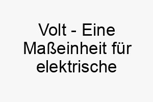 volt eine masseinheit fuer elektrische spannung ein guter name fuer einen schnellen energiegeladenen hund 27219