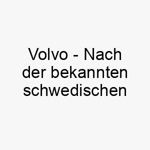 volvo nach der bekannten schwedischen automarke koennte einen robusten zuverlaessigen hund repraesentieren 27217