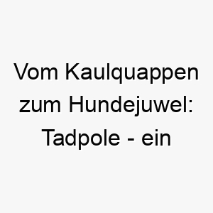 vom kaulquappen zum hundejuwel tadpole ein entzueckender name fuer einen kleinen vierbeiner 26423