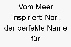 vom meer inspiriert nori der perfekte name fuer deinen liebenswerten vierbeiner 23369