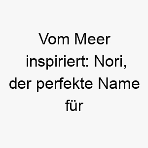 vom meer inspiriert nori der perfekte name fuer deinen liebenswerten vierbeiner 23369